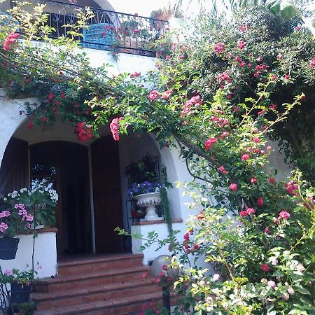 B&B Villa Piera Montecucco 스틴티노 외부 사진